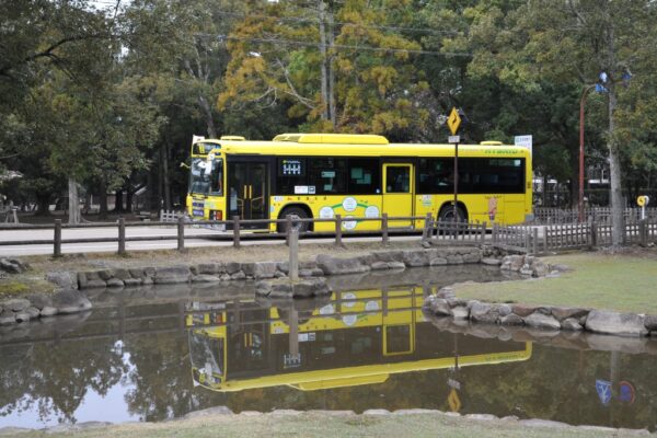 奈良公園をゆく市内循環バス